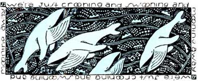 Notes from the International Whaling Commission Meeting